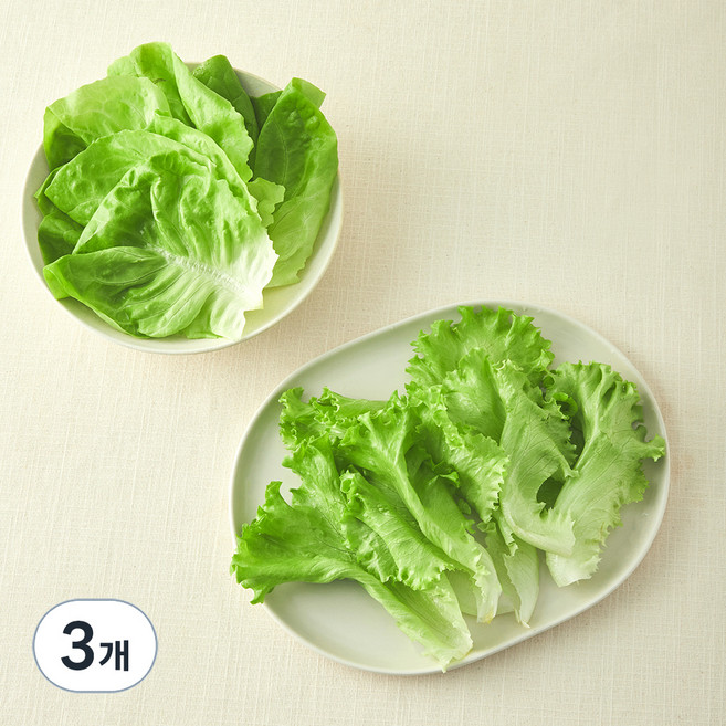 그린래빗 무농약 인증 유러피안 소프트믹스 샐러드, 100g, 3개