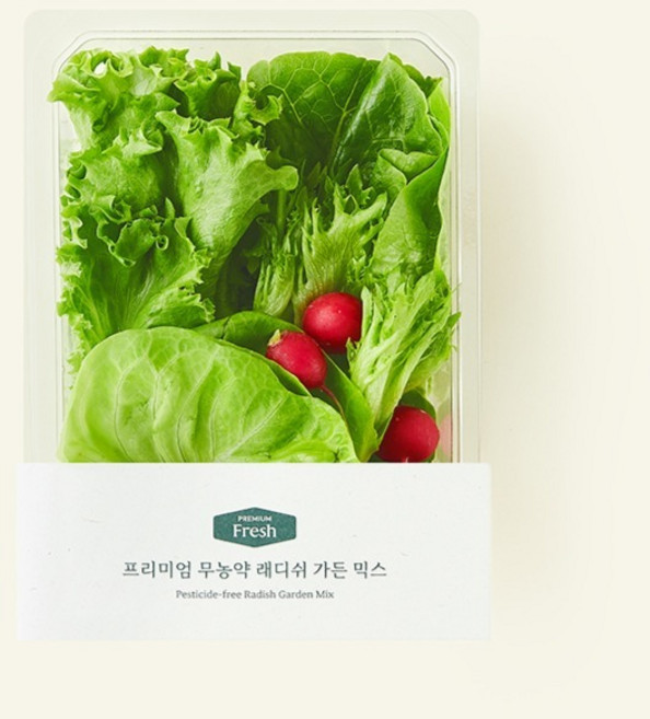 프리미엄 무농약 래디쉬 가든 믹스, 150g, 1개입, 1개