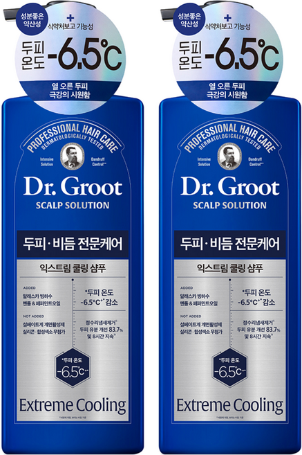 닥터그루트 스칼프솔루션 익스트림 쿨링 샴푸, 700ml, 2개