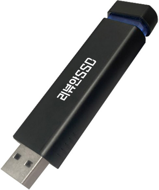 리뷰안 MLC PS5외장SSD USB메모리, UX300, 480GB