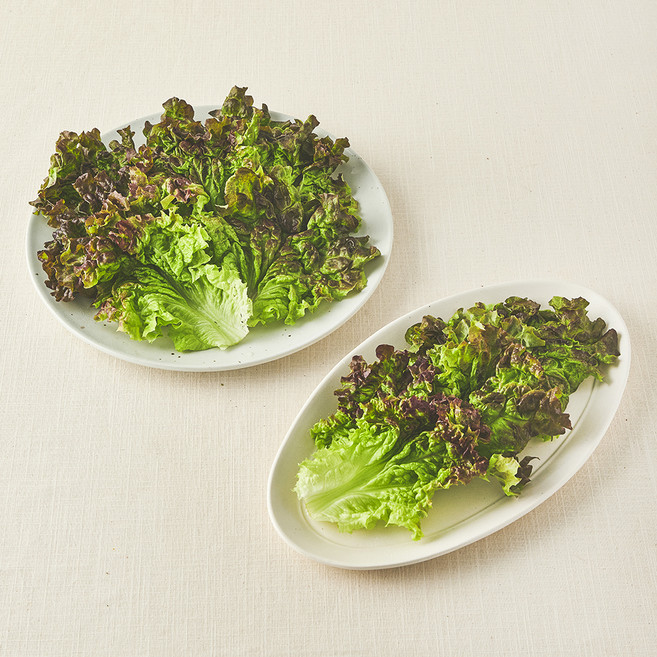 국내산 친환경 적상추, 150g, 1개