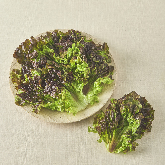 친환경 한끼 적상추, 80g, 1개