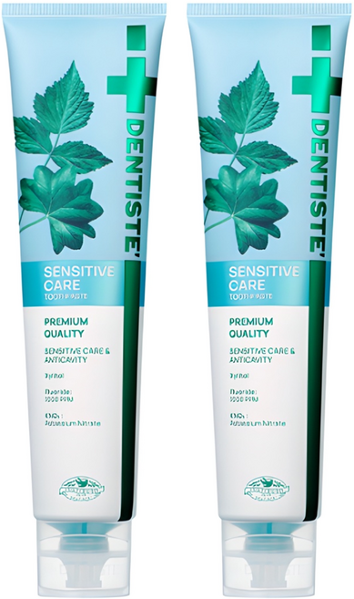 덴티스테 뉴 센서티브케어 치약, 200g, 2개