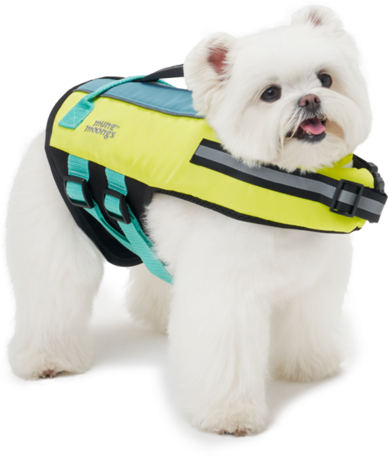 멍뭉스 강아지 물놀이 세이프가드 구명조끼, 옐로우+아쿠아 블루, 1개