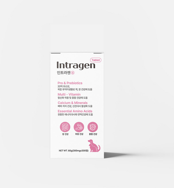 인트라젠 반려동물 종합영양제 타블렛, 200정, 장건강/유산균, 1개
