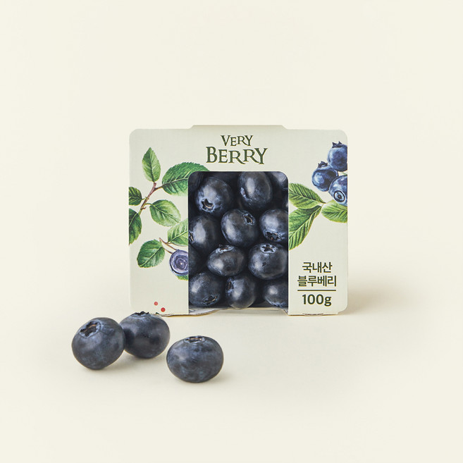국내산 유레카 블루베리 특, 1개, 100g