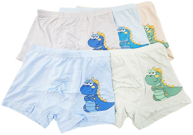 슈와츠코리아 남아용 꾸러기공룡 모달 드로즈 5종 세트