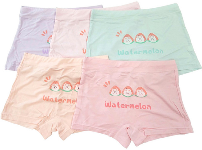 슈와츠코리아 여아용 통기성 워터멜론 모달 드로즈 5종 세트