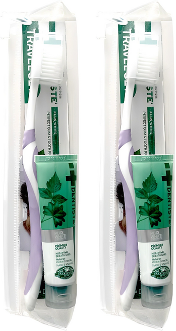 덴티스테 트래블 세트 생활용품, 20g, 2세트