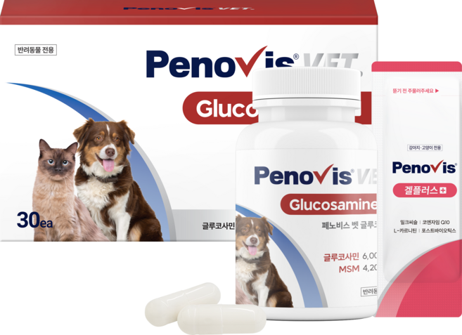 페노비스 반려동물 벳 글루코사민 영양제 30개 + 투약보조제 30개, 뼈/관절강화, 1세트