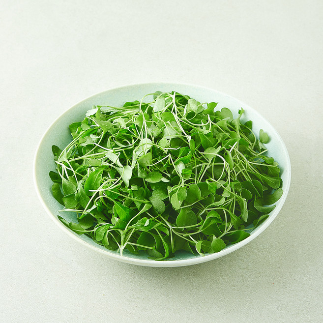 친환경 베이비 루꼴라, 1개, 50g