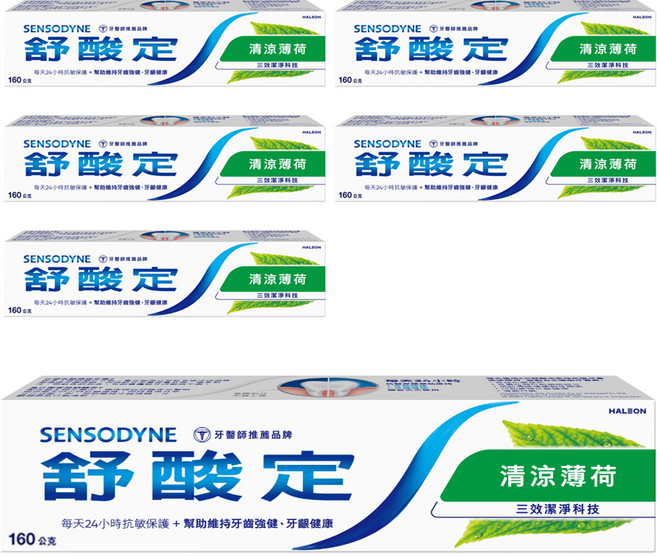 SENSODYNE 舒酸定 長效抗敏牙膏, 160g, 6條