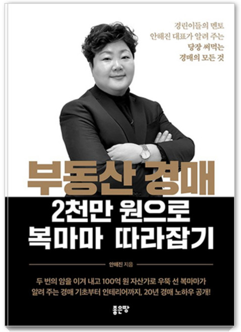 부동산 경매 2천만 원으로 복마마 따라잡기:경린이들의 멘토 안해진 대표가 알려 주는 당장 써먹는 경매의 모든 것, 좋은땅