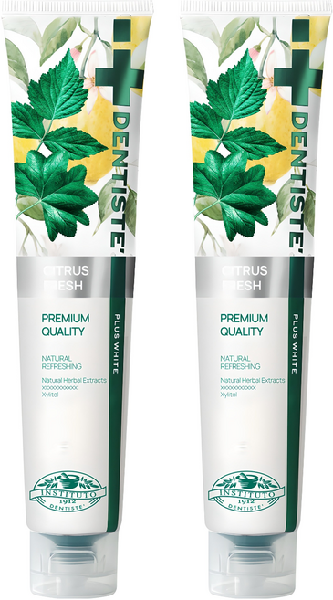덴티스테 시트러스 후레쉬 치약, 200g, 2개