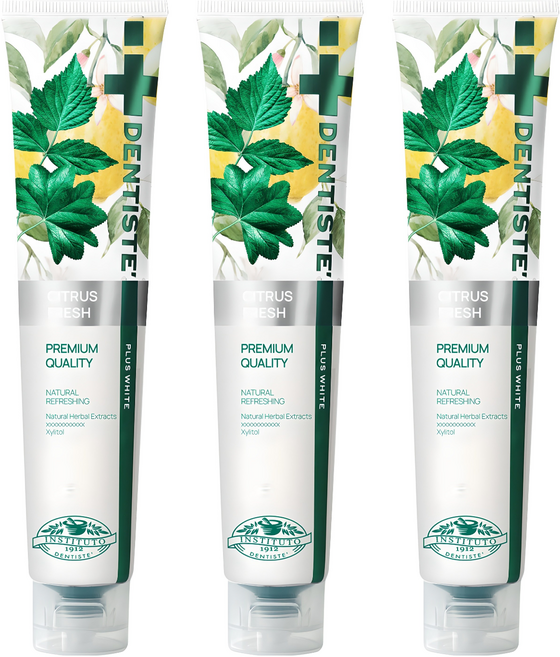 덴티스테 시트러스 후레쉬 치약, 200g, 3개
