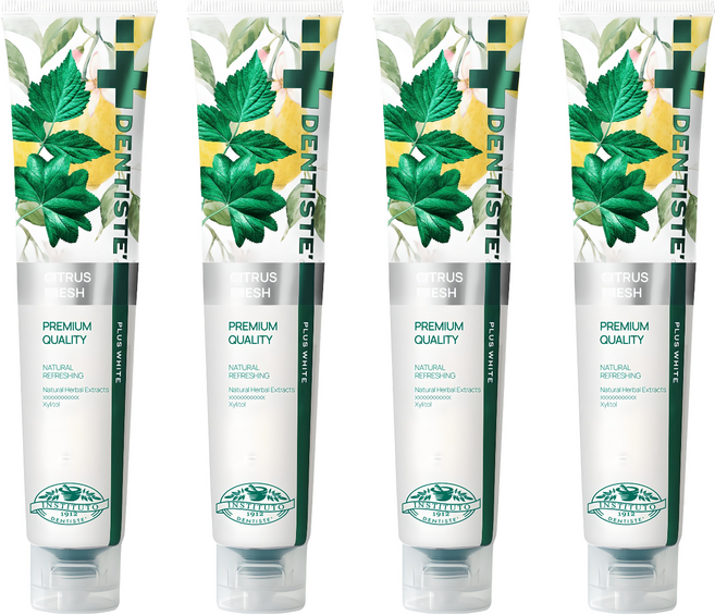 덴티스테 시트러스 후레쉬 치약, 200g, 4개
