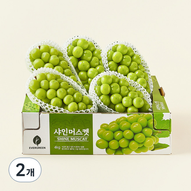 한반도 비파괴 당도선별 샤인머스캣, 4kg, 2개