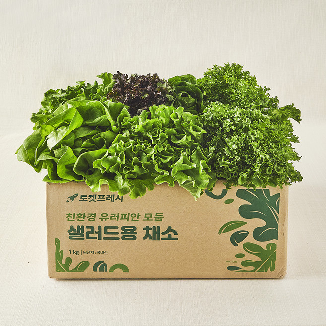 친환경 유러피안 모둠 샐러드용 채소, 1kg, 1개