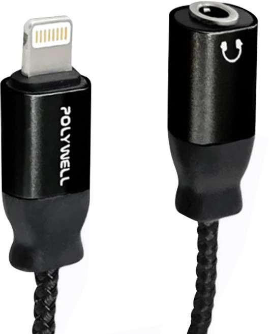 POLYWELL 寶利威爾 Lightning轉3.5mm音源耳機轉接線 母 可聽歌 無通話 PW15-W45-A283, 黑色, 1條