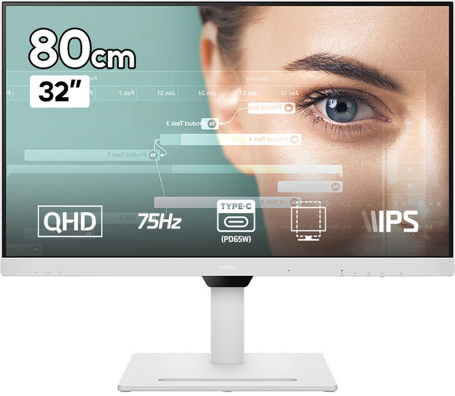 벤큐 QHD 모니터, 80cm, GW3290QT