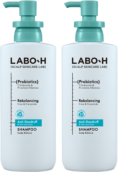 라보에이치 댄드 러프 클리닉 비듬 두피 각질 케어 약산성 기능성샴푸, 400ml, 2개