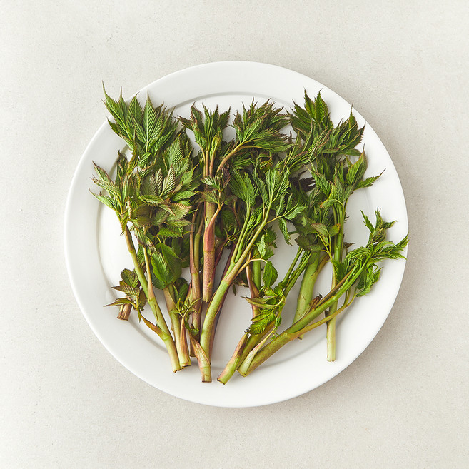 국내산 눈개승마 삼나물, 1개, 150g