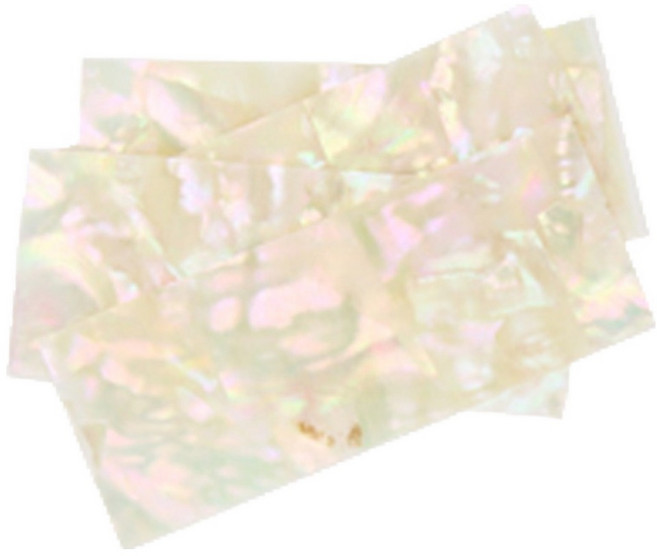 네일스케치 고급 판자개 네일파츠 5개입, 화이트, 1개