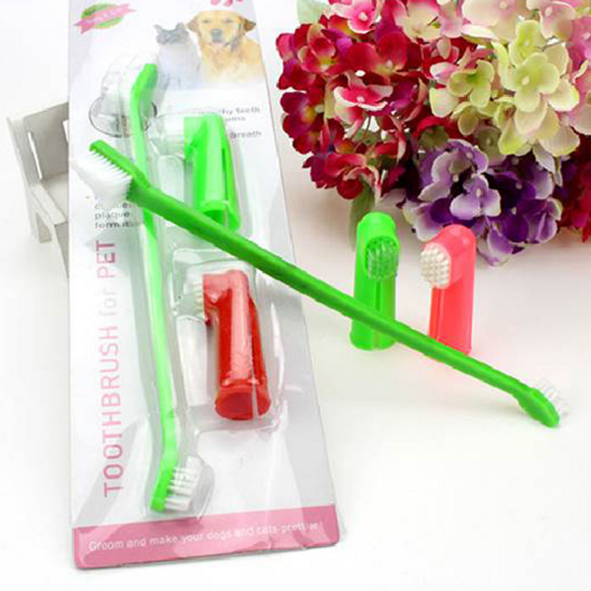 블럭마트 고양이 강아지 칫솔 세트, 랜덤 발송, 2개