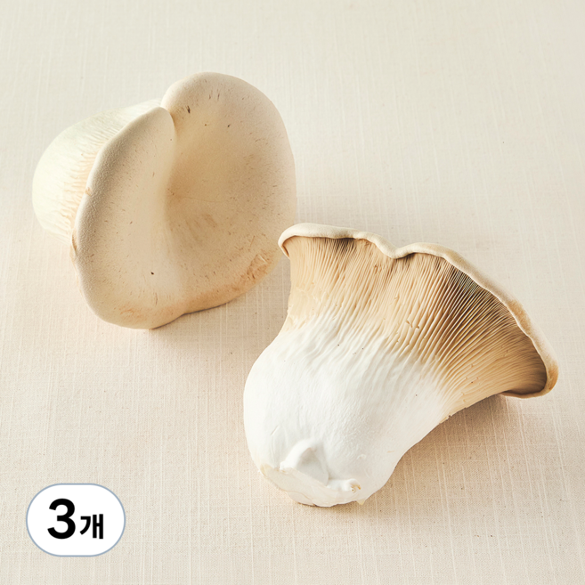 친환경 설원버섯, 3개, 400g