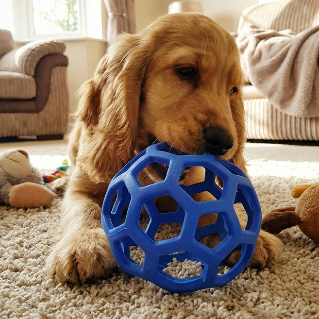 세이코코아 홀리롤러 강아지 장난감, 블루, 2개