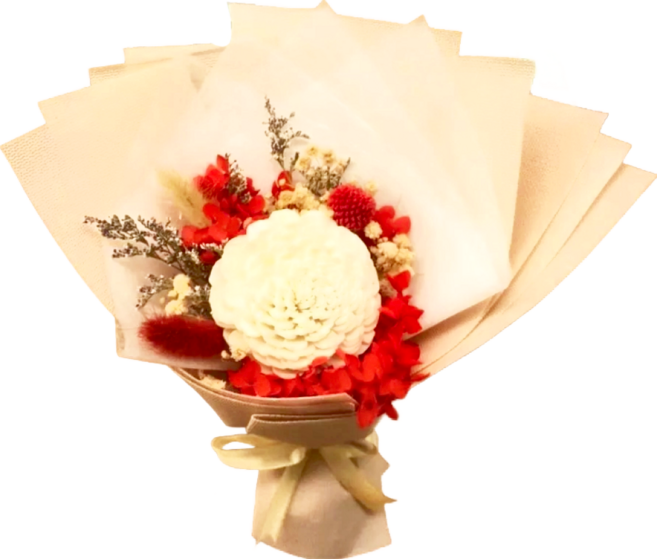 A-ONE 匯旺 6cm大白索拉玫瑰花 紅色繡球花 永生花束 乾燥花束, 紅色