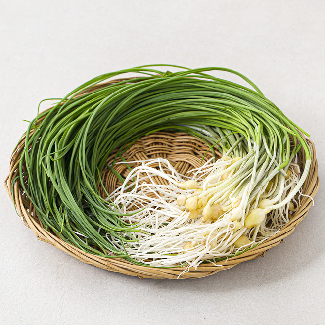 서산 달래, 100g, 1봉