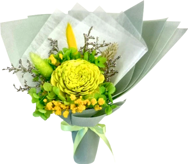 A-ONE 匯旺 6cm大綠索拉玫瑰花綠色繡球花永生花束 乾燥花束 AE-FBQ8 H款, 彩色, 1個