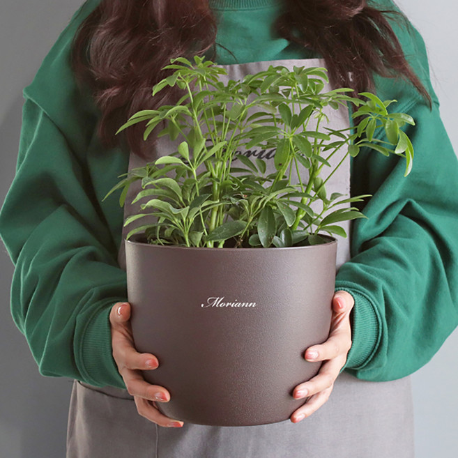 모리앤 물주는 시기를 알수있는 플랜트 눈금화분 원형, 브라운, 1개