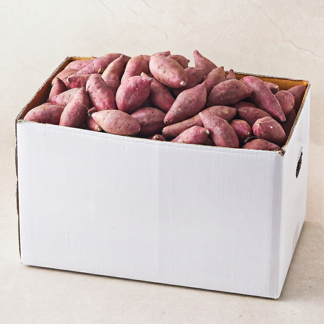 해남 밤고구마(한입), 10kg, 1개