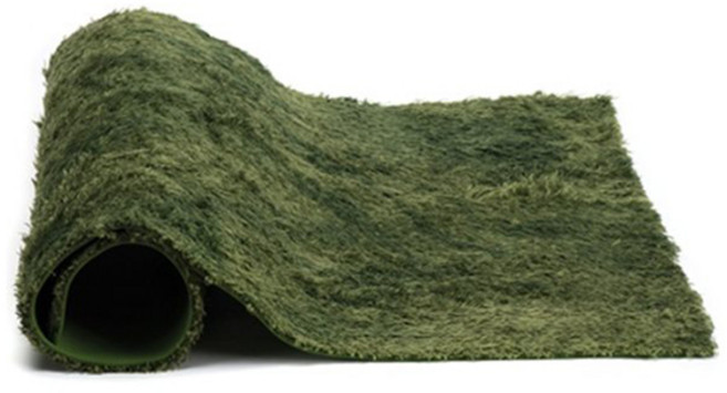 엑소테라 이끼매트 소, PT2480, 1개