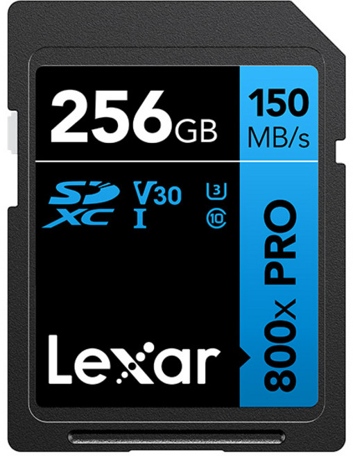 렉사 Professional SD카드 800X PRO, 256GB, 1개