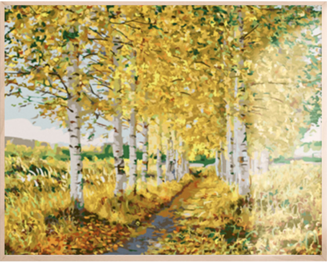 아트조이 물감 2배 DIY 명화그리기 40 x 50 cm, 자작나무길, 1개