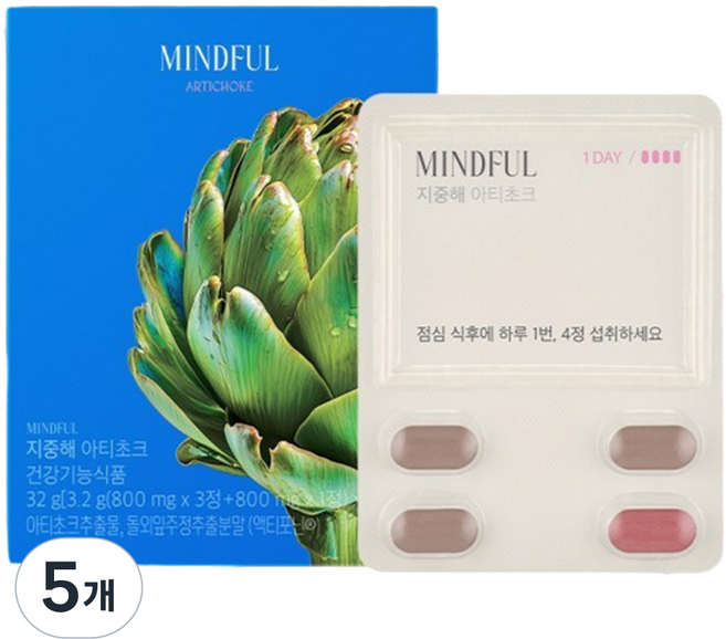 푸드올로지 마인드풀 지중해 아티초크 체지방 다이어트, 32g, 5개