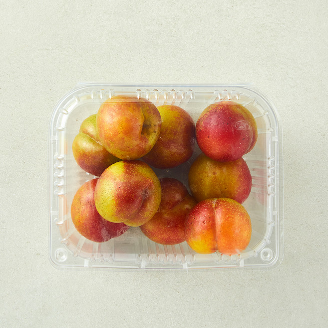 맛있는 못난이 자두, 2kg, 1개
