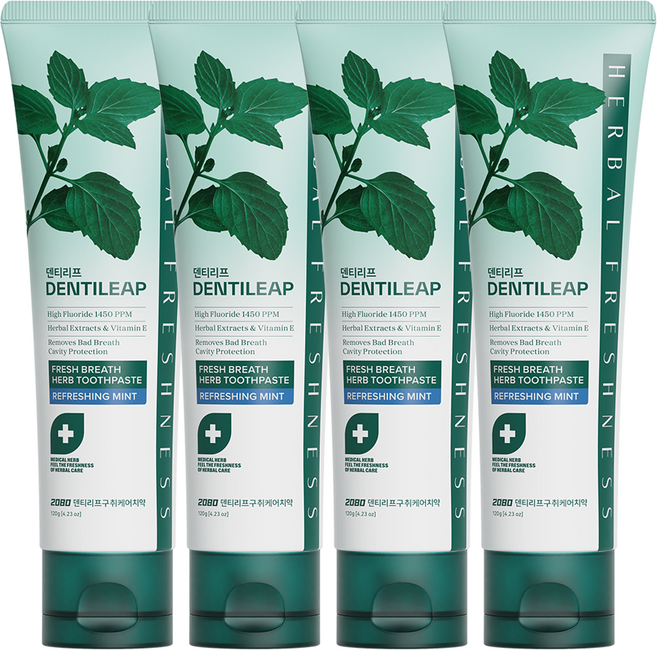 2080 덴티리프 구취케어 치약, 120g, 4개