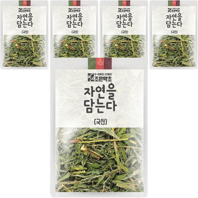 조은약초 자연을 담는다 프리미엄 야관문, 200g, 5개