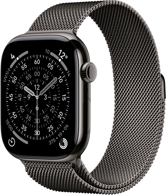 Apple 2025 애플워치 11, 슬레이트, 46mm, GPS+Cellular, 티타늄,슬레이트/슬레이트 밀레니즈 루프, M/L