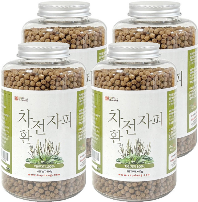 갑당약초 차전자피환, 400g, 4개