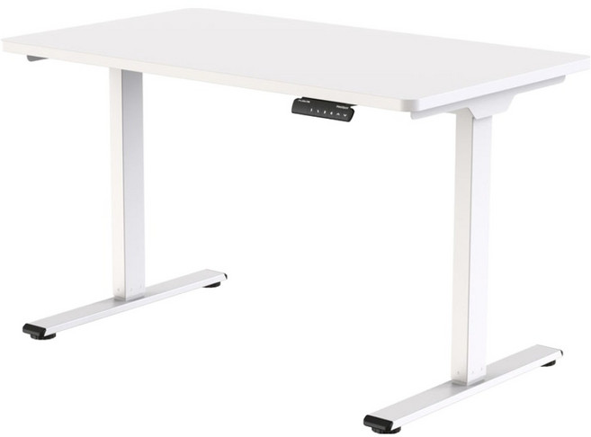 FlexiSpot 플랜티엠 PRO 듀얼모터 전동 모션데스크 방문설치, 화이트