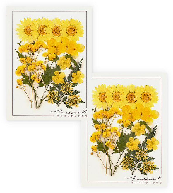 프레스코21 압화 종합팩, K104, 2개