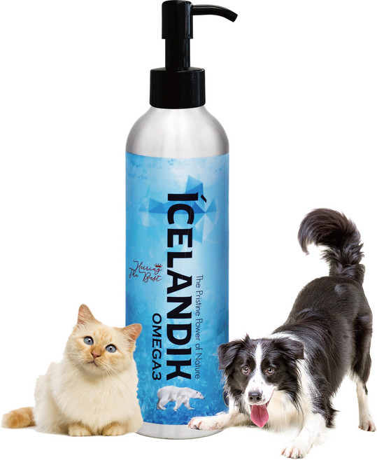 아이슬랜딕글래셜 반려동물 헤링 오일 영양제, 250ml, 오메가3, 1개