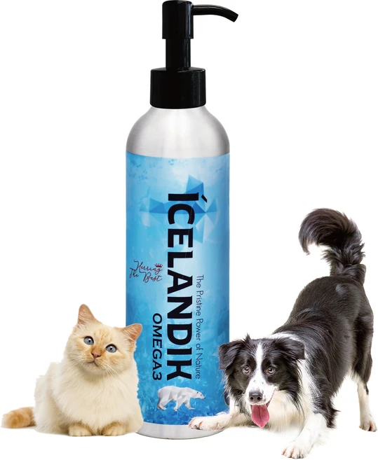 아이슬랜딕글래셜 반려동물 헤링 오일 영양제, 250ml, 오메가3, 1개 - 쿠팡