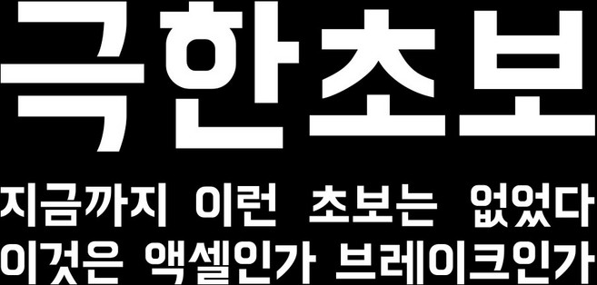 루키마켓 극한초보 차량용 스티커, 화이트, 1개