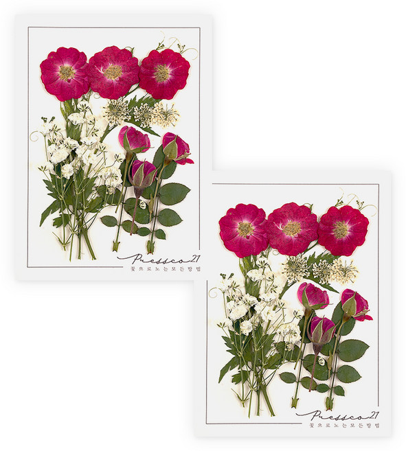 프레스코21 압화 종합팩, K101, 2세트